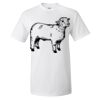 Unisex Ultra Cotton® T-Shirt Thumbnail