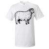 Unisex Ultra Cotton® T-Shirt Thumbnail