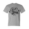 Unisex DryBlend® T-Shirt Thumbnail