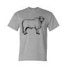 Unisex DryBlend® T-Shirt Thumbnail