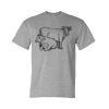 Unisex DryBlend® T-Shirt Thumbnail