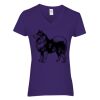 Women's Heavy Cotton™ V-Neck T-Shirt Thumbnail