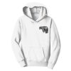 Youth Fan Favorite Fleece Pullover Hooded Sweatshirt Thumbnail