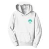 Youth Fan Favorite Fleece Pullover Hooded Sweatshirt Thumbnail