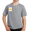 Youth Fan Favorite Tee Thumbnail