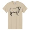 Heavy Cotton  100% Cotton T Shirt Thumbnail