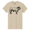 Heavy Cotton  100% Cotton T Shirt Thumbnail