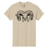 Heavy Cotton  100% Cotton T Shirt Thumbnail