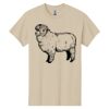 Heavy Cotton  100% Cotton T Shirt Thumbnail