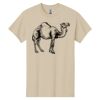 Heavy Cotton  100% Cotton T Shirt Thumbnail