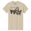 Heavy Cotton  100% Cotton T Shirt Thumbnail