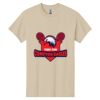 Heavy Cotton  100% Cotton T Shirt Thumbnail