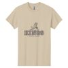 Heavy Cotton  100% Cotton T Shirt Thumbnail