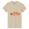 Heavy Cotton  100% Cotton T Shirt Thumbnail